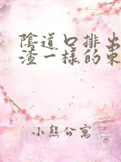 阴道口排出豆腐渣一样的东西