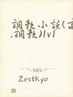 调教小说(高h,调教)1v1