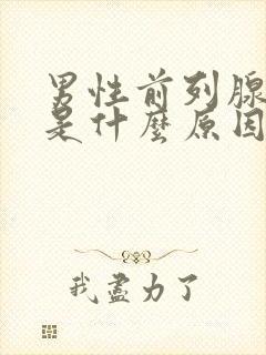 男性前列腺增生是什么原因导致的