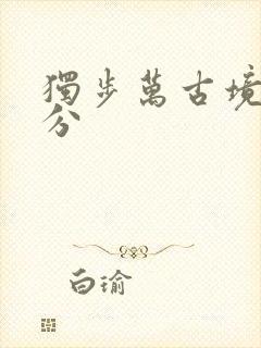 独步万古境界划分