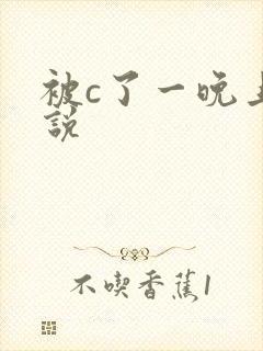 被c了一晚上小说