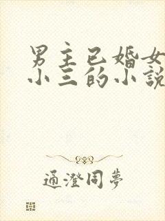 男主已婚女主是小三的小说