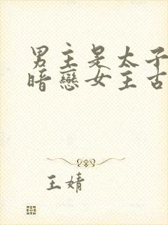 男主是太子从小暗恋女主古言