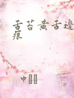 舌苔黄舌边有齿痕