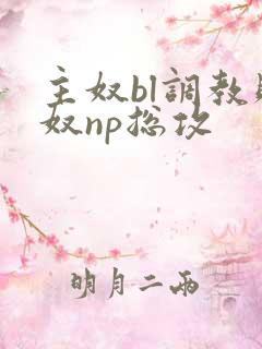 主奴bl调教贱奴np总攻