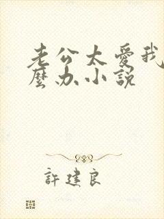 老公太爱我了怎么办小说