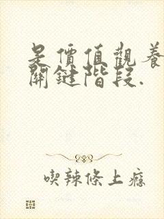 是价值观养成的关键阶段.