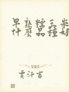 早熟糯玉米种子什么品种好