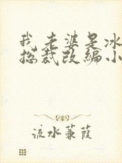 我老婆是冰山女总裁改编小说