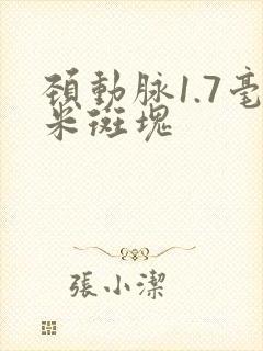 颈动脉1.7毫米斑块