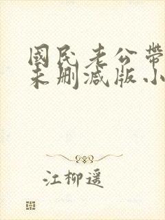 国民老公带回家未删减版小说