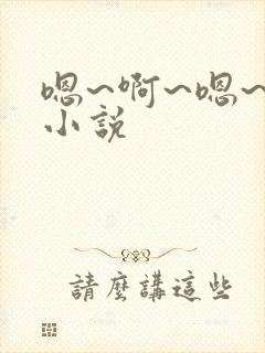 嗯~啊~嗯~的小说