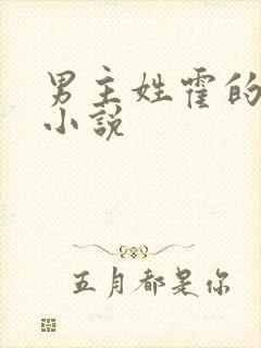 男主姓霍的总裁小说