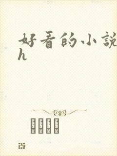 好看的小说言情h