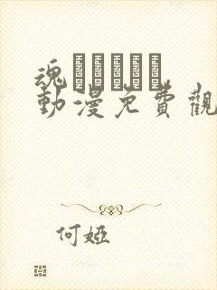 魂インサート,动漫免费观看