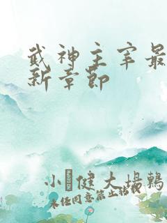 武神主宰最新更新章节