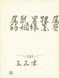 属鼠男跟属狗女的姻缘怎么样