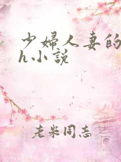 少妇人妻的欲望h小说