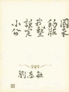 小说我的国民老公完整版未删减小说
