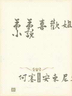 弟弟喜欢姐姐的小说