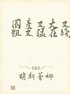 国产又大又黄又粗又猛在线观看