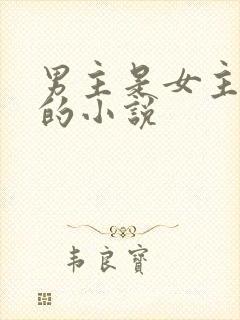 男主是女主姐夫的小说