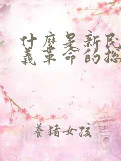 什么是新民主主义革命的总路线?