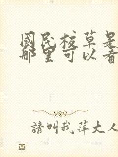 国民校草是女生那里可以看