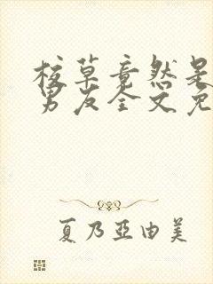 校草竟然是你前男友全文免费