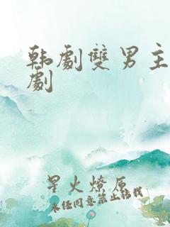 韩剧双男主电视剧