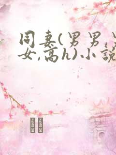 同妻(男男,男女,高h)小说