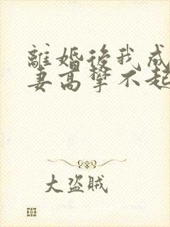 离婚后我成了前妻高攀不起的神txt下载