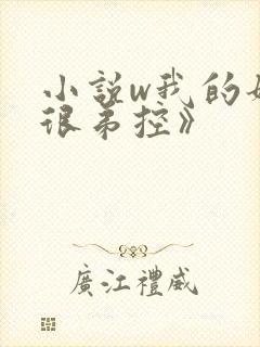 小说w我的姐姐很弟控》