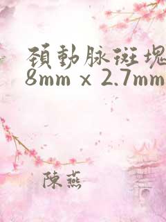 颈动脉斑块8.8mmⅹ2.7mm严重吗