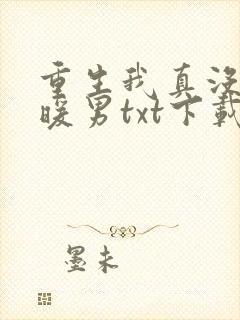 重生我真没想当暖男txt下载