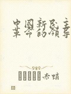 中国新民主主义革命的领导阶级是