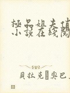 极品姐夫俏小姨小说在线阅读全文免费