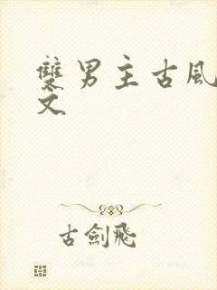 双男主古风高干文
