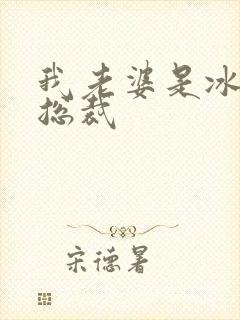 我老婆是冰山女总裁