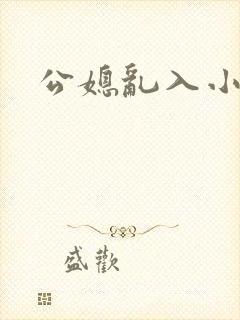 公媳乱入小说