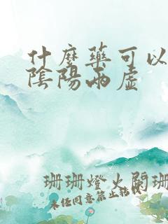 什么药可以治肾阴阳两虚