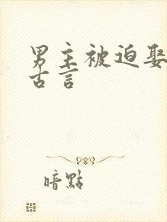 男主被迫娶女主古言