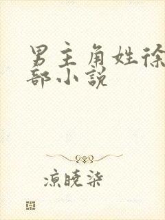 男主角姓徐的全部小说