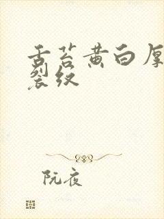 舌苔黄白厚腻有裂纹