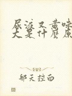 尿液又黄味特别大是什么原因