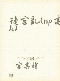 后宫乱(np高h)