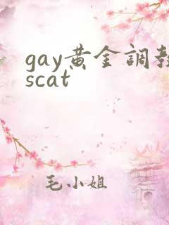 gay黄金调教scat