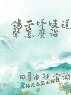 鸽子呼吸道呼噜声怎么治