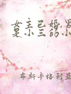 女主已婚,男主是小三的小说