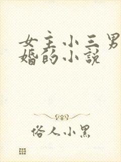 女主小三男主已婚的小说